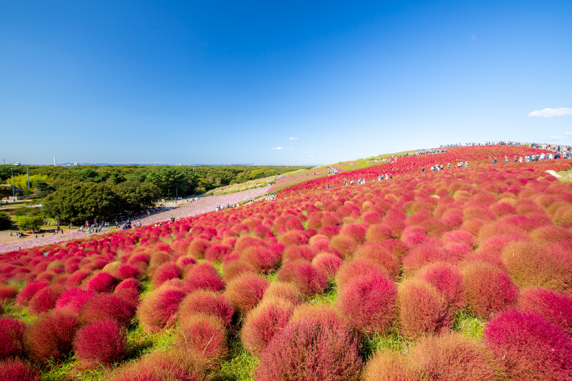 茨城県のプラネタリウム施設まとめ｜料金・アクセス・特徴を解説