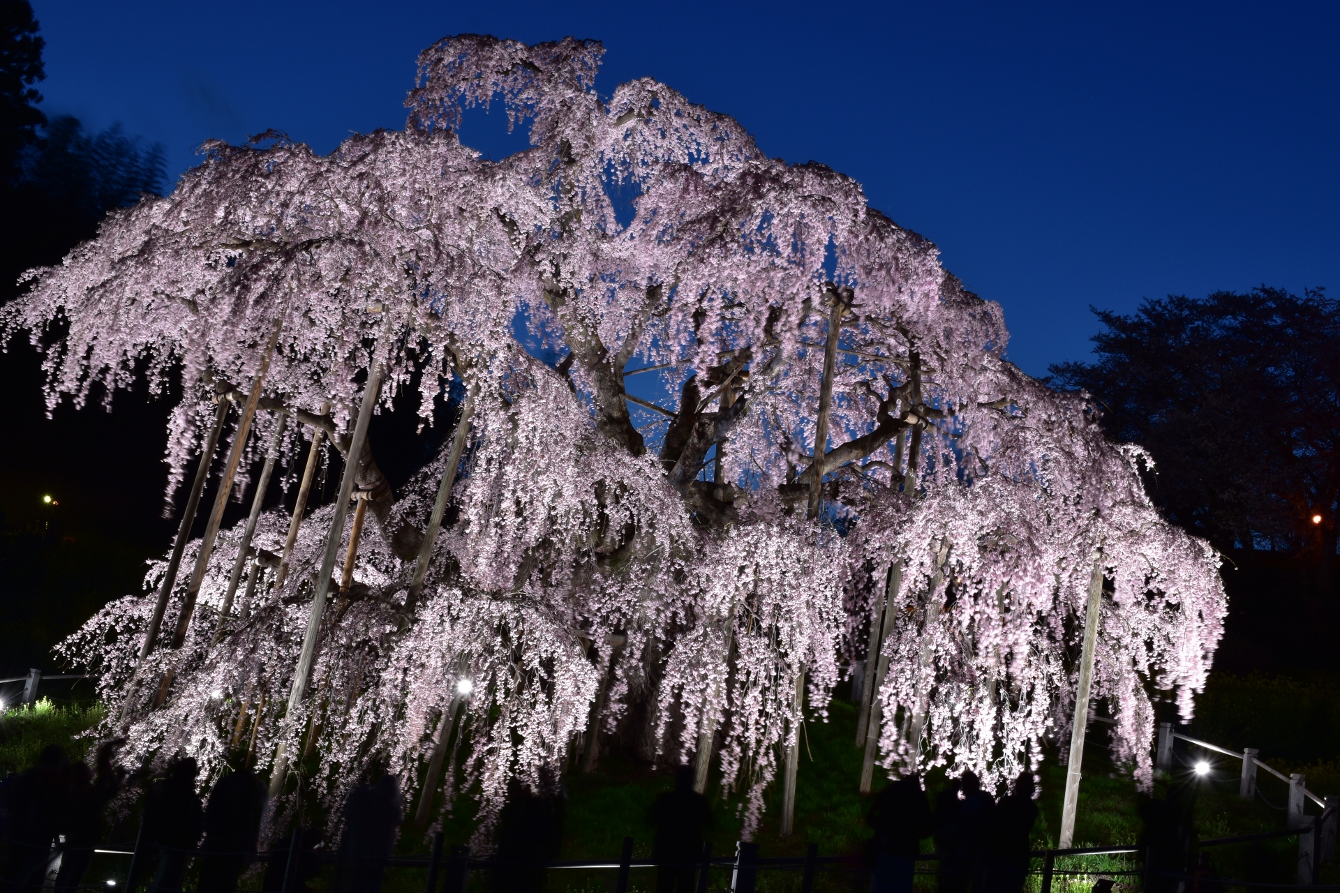 福島県のプラネタリウム施設まとめ｜料金・アクセス・特徴を解説